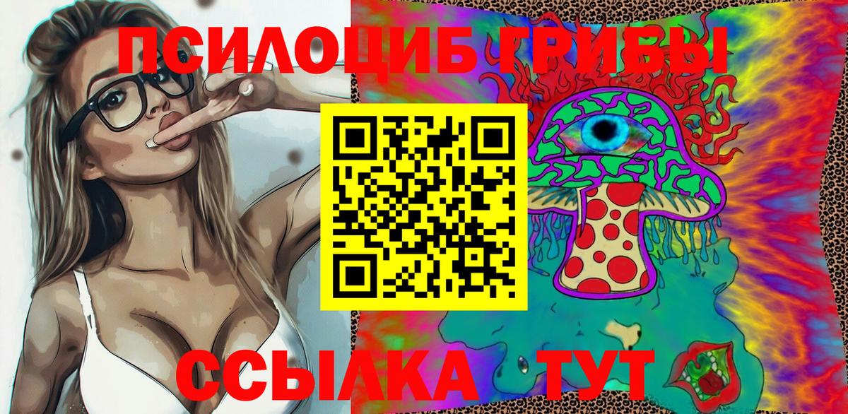 Гай  Псилоцибиновые грибы Psilocybe  Вход с VPN  Псилоцибиновые грибы мицелий 